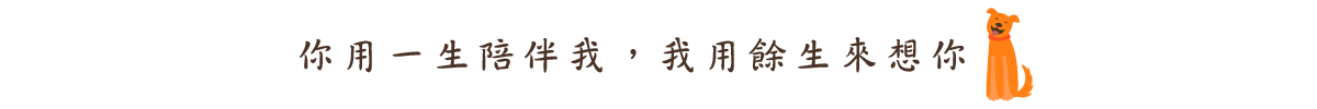 你用一生陪伴我，我用餘生來想你