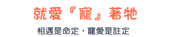 讓孩子眼睛離不開的活潑動畫 兒童卡通專場